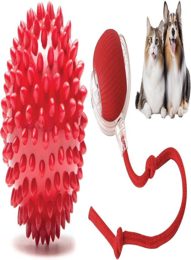 PET FUN كرة مطاطية طبيعية مدببة للكلاب من بيت فن، 2.8 بوصة | لعبة مضغ نطاطة للجراء | لعبة كرة تفاعلية للقطط بذيل حبل | مجموعة ألوان متعددة من قطعتين - Image 1